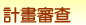 計畫審查